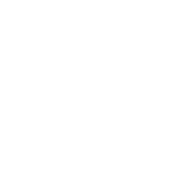 Illustration de feuille